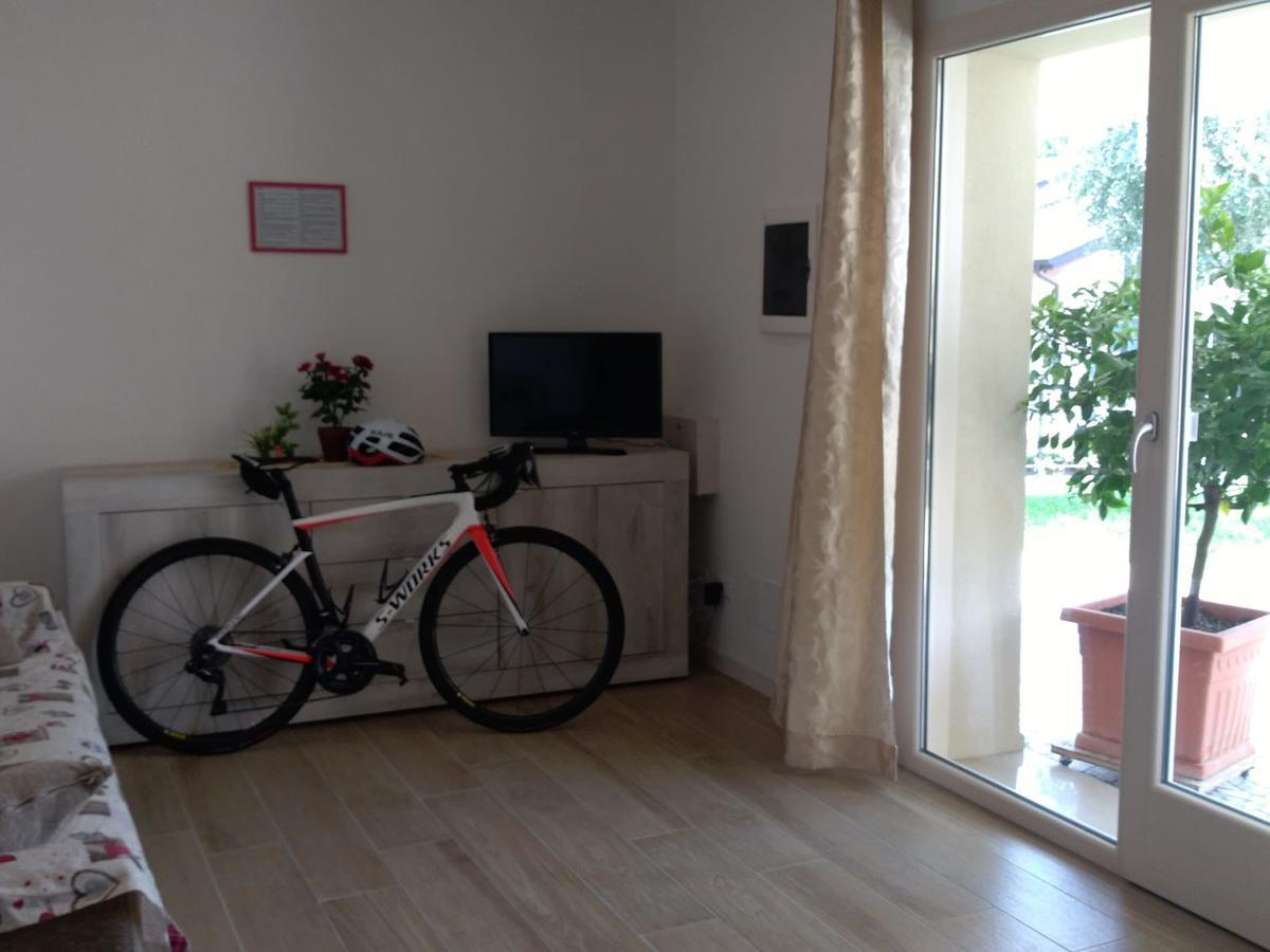 Apartment Conte